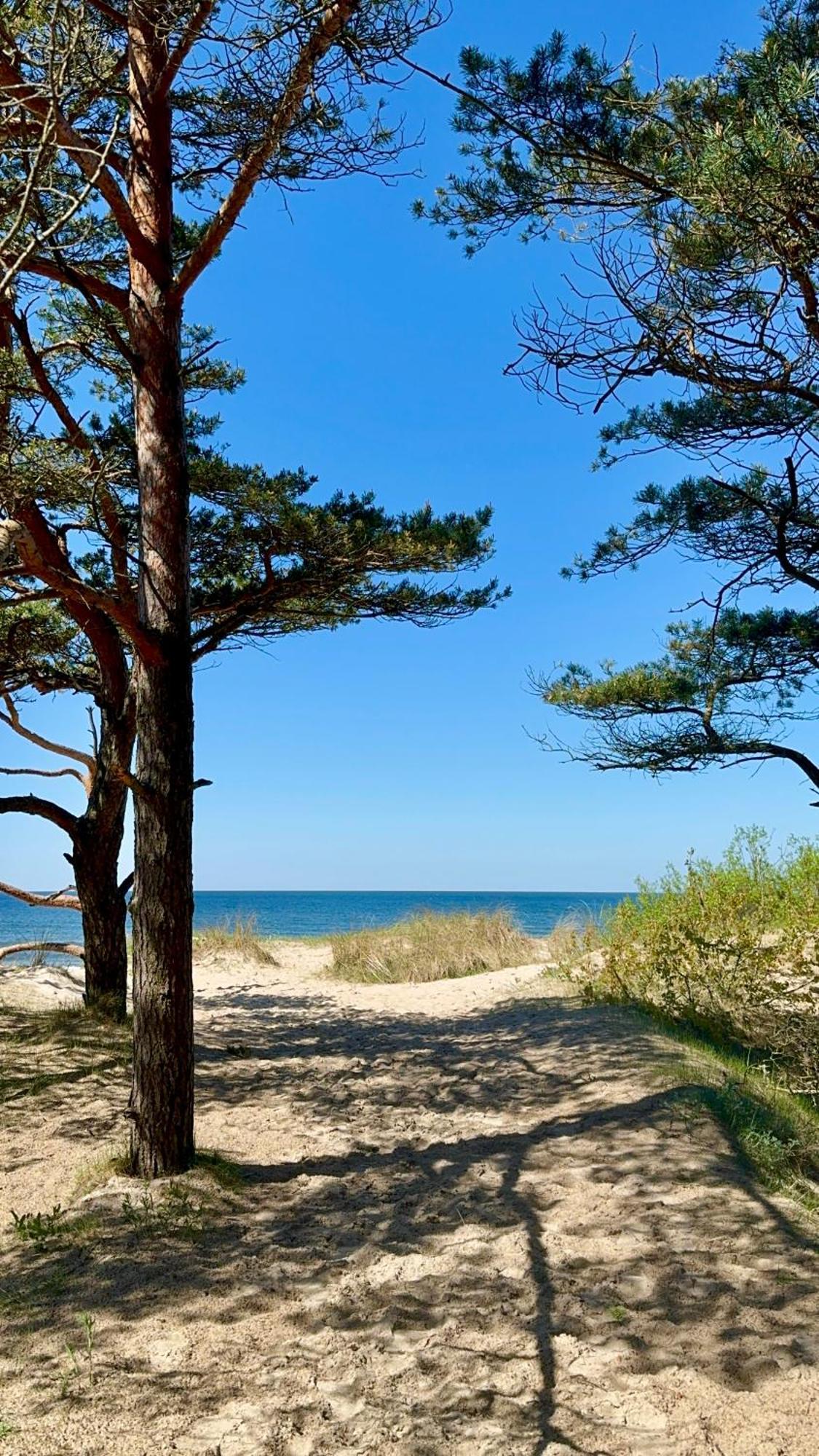 Apartamentai-butas “mano Jura” Komplekse Palanga